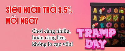 Đặt cược Q88 Bet ngay hôm nay